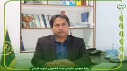 عدم تخصیص گازوئیل به گلخانه‌های حاشیه لوله گاز در صورت عدم گازکشی در جنوب کرمان
